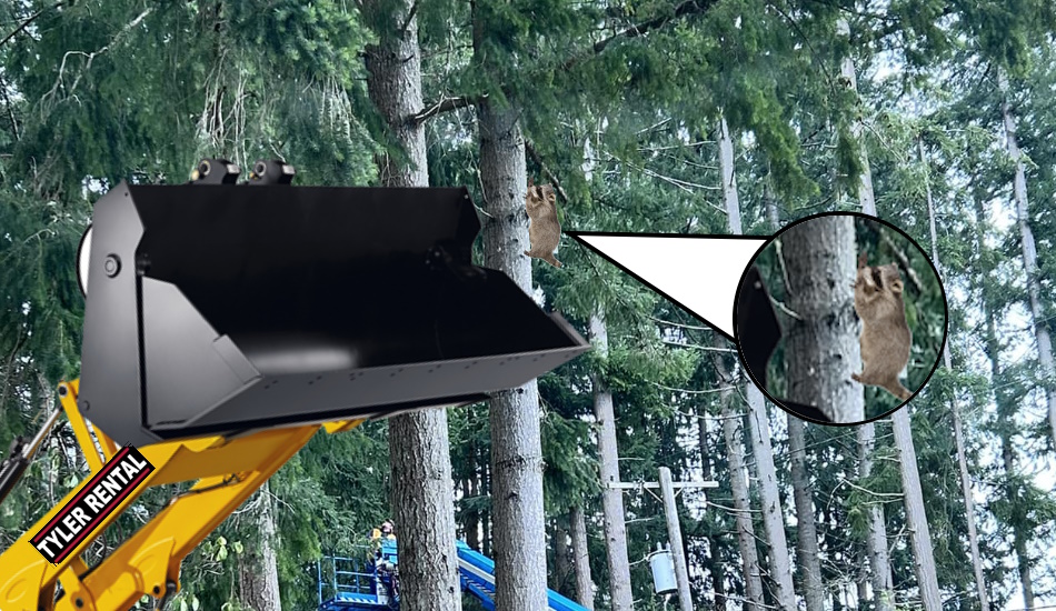 Local heroes save the day after woman with horrible eye sight reports a cat stuck in tree